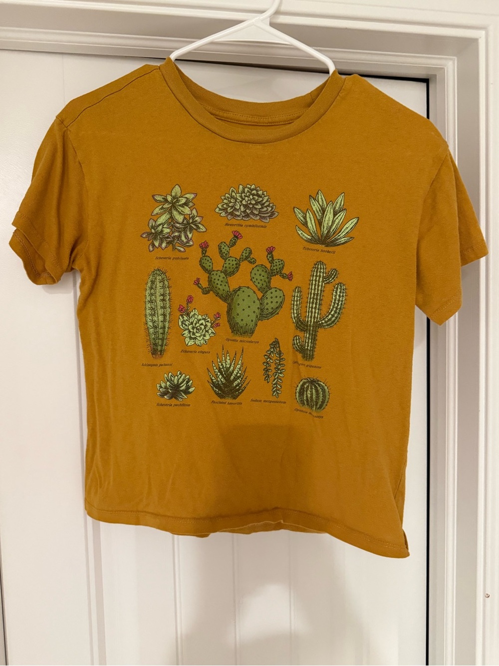 Fifth Sun Crop Mustard Cactus Graphic Tee  Size Small
